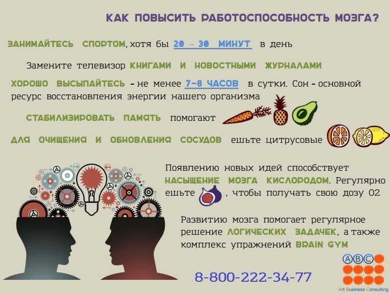 Нейроны головного мозга: что это такое, где находятся, функции