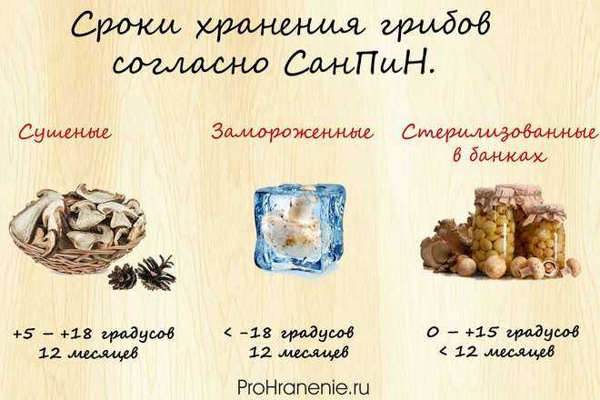 Как заморозить свежие шампиньоны в домашних условиях