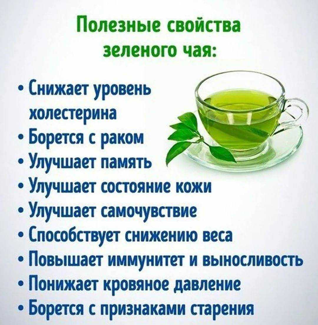 Чайная диета из японии. бонусом - рецепты травяных чаев для похудения