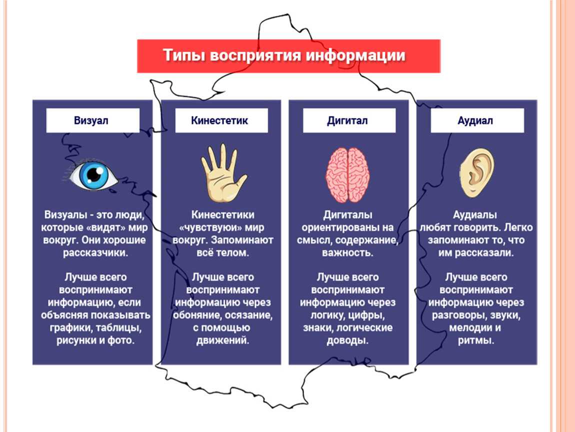Аудиал, визуал, кинестетик: особенности каждого из типов восприятия информации