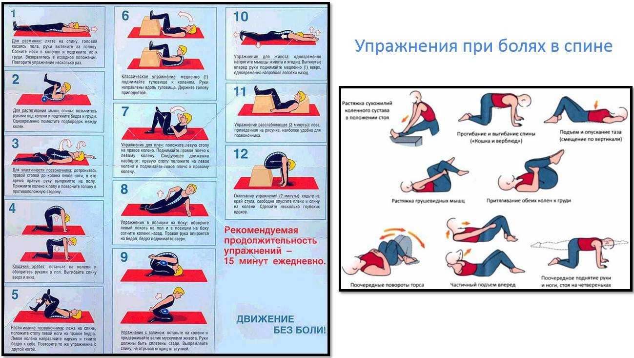 Растяжка спины и позвоночника – расслабляем зажатые мышцы