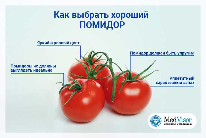 Как выбирать хорошие помидоры в магазинах и на рынке по внешнему виду + фото