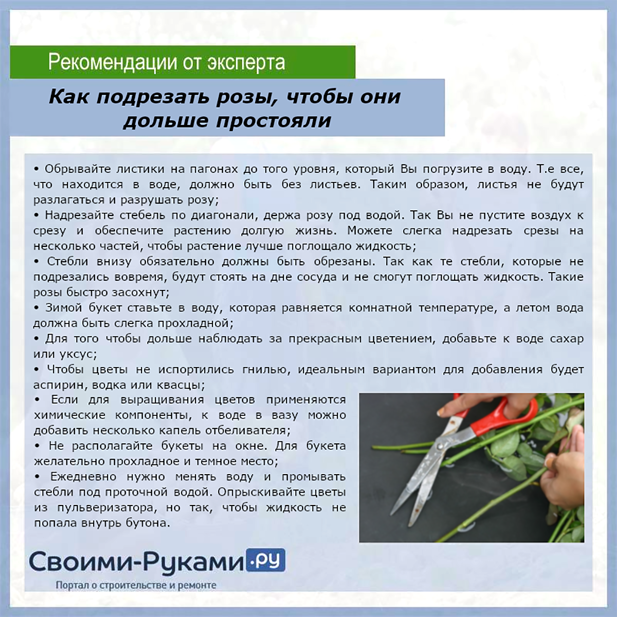Как сделать так, чтобы розы дольше стояли  - домашние лайфхаки | maritera.ru