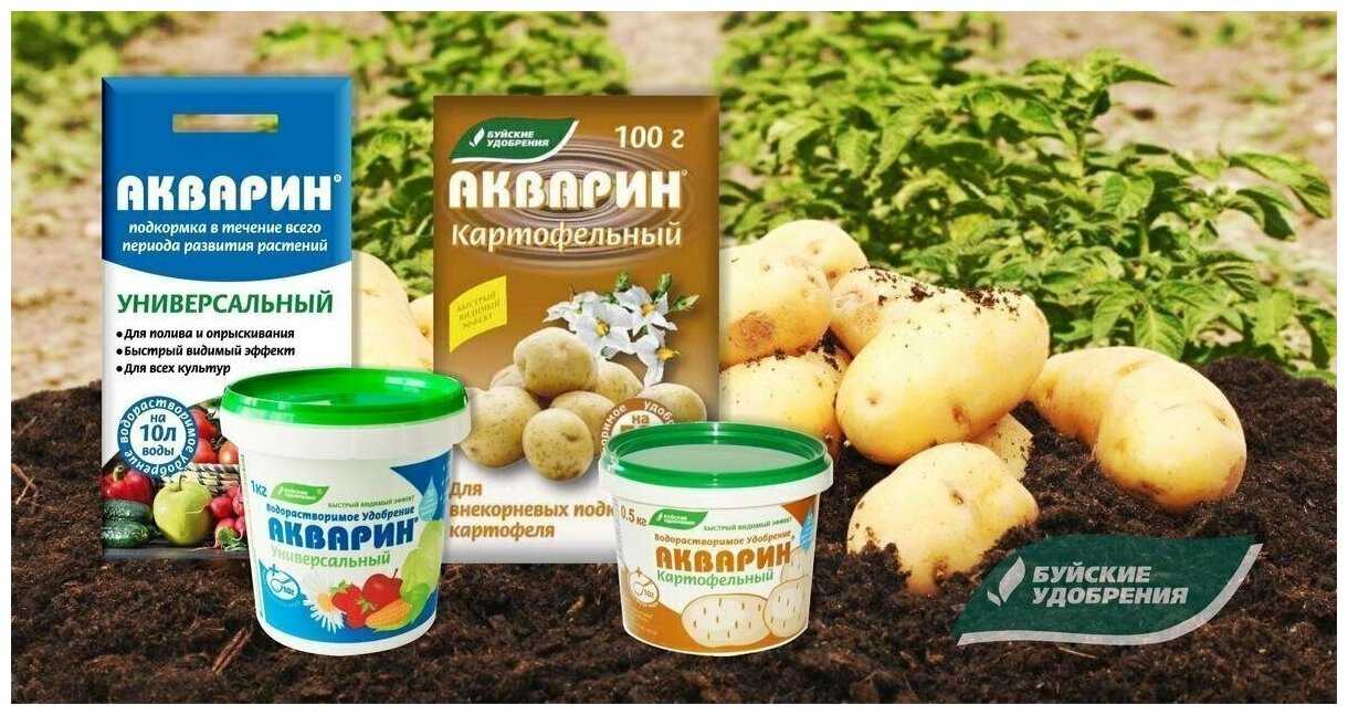 Удобрение для картофеля: чем, когда и как удобрять