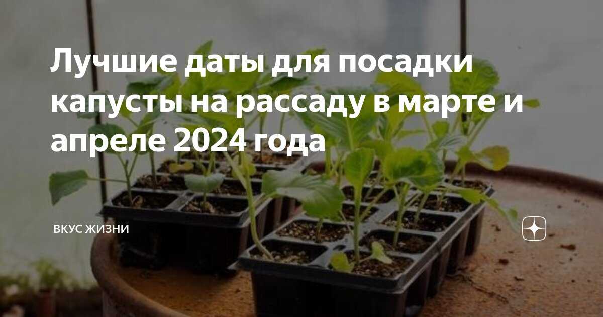 Когда сеять рассаду. формула расчёта