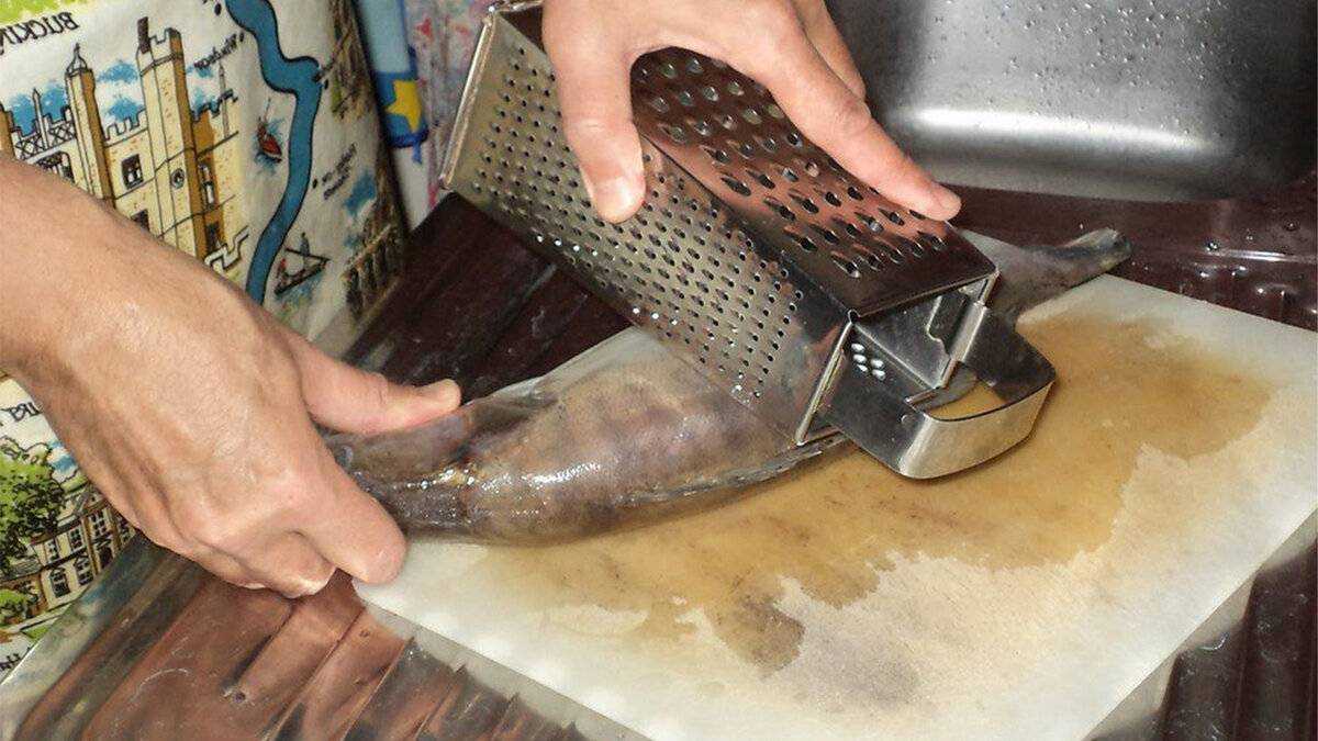 Как почистить рыбу от чешуи быстро и легко в домашних условиях?
