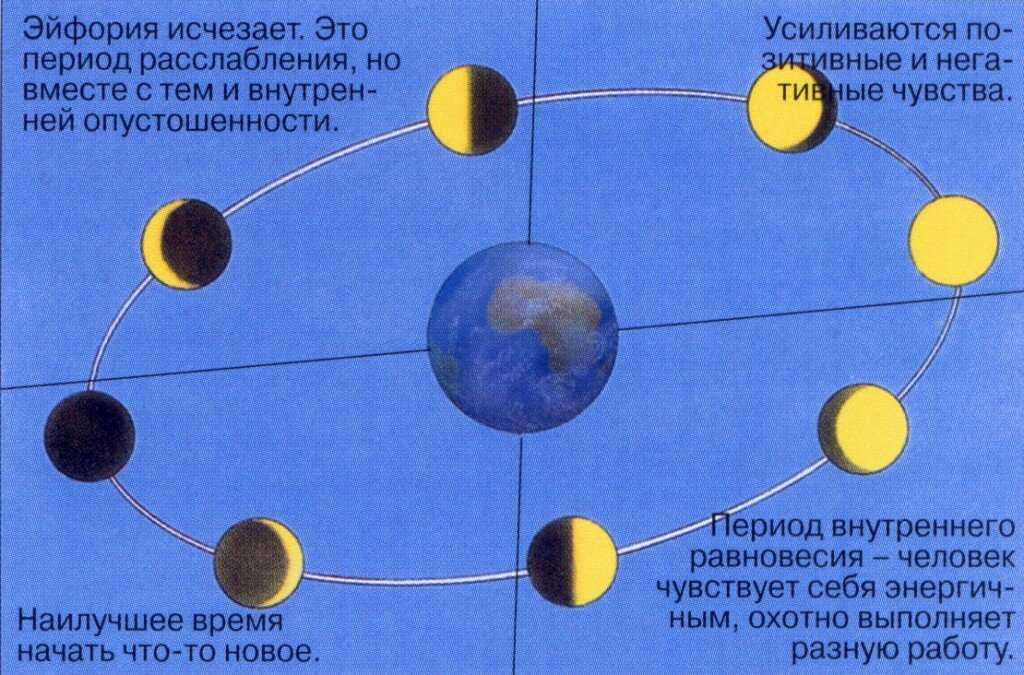 Когда лучше сажать: природные подсказки