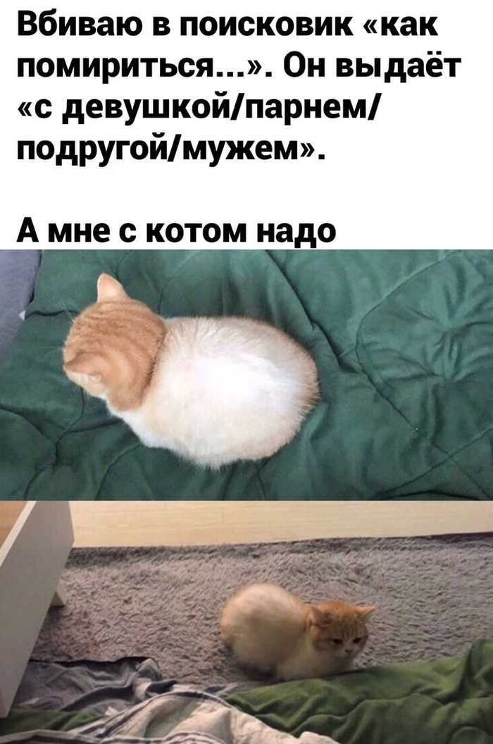 Как помириться с парнем после сильной ссоры – 100 фраз