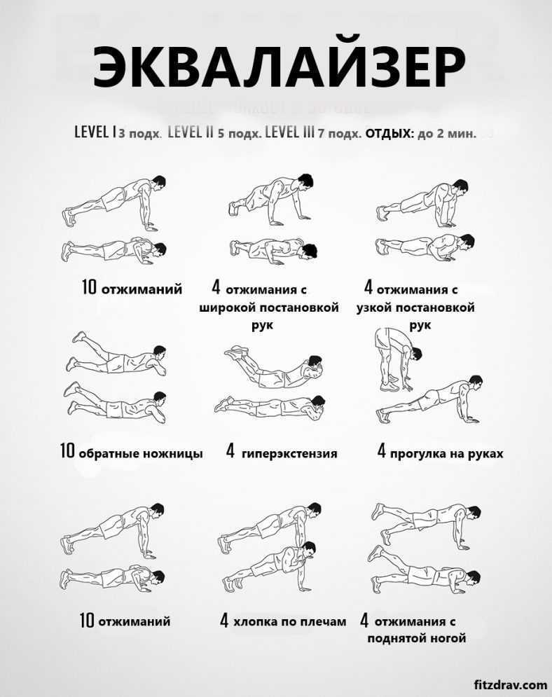 Отжимания: какие мышцы качаются, все виды отжиманий