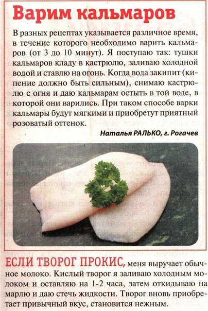 Как варить кальмаров, чтобы они были мягкие: как размораживать, чистить, сколько времени держать в кипятке + отзывы