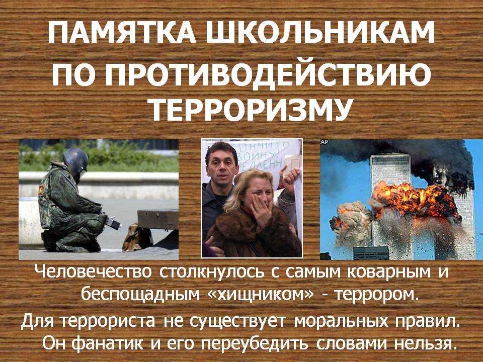 Мародёры и грабители могут опустошить ваш дом. как от них защититься?