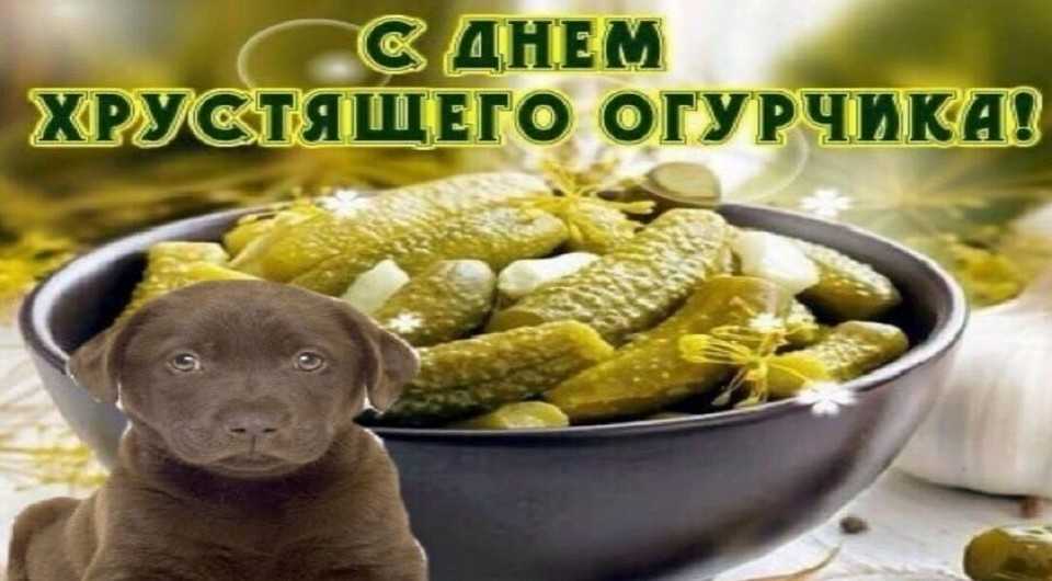 Как в ватсапе найти поздравительные открытки: легко