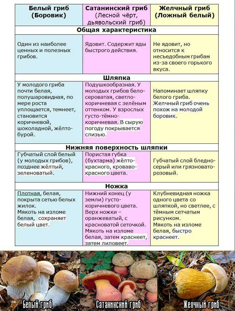 Надо чистить шампиньоны перед приготовление?