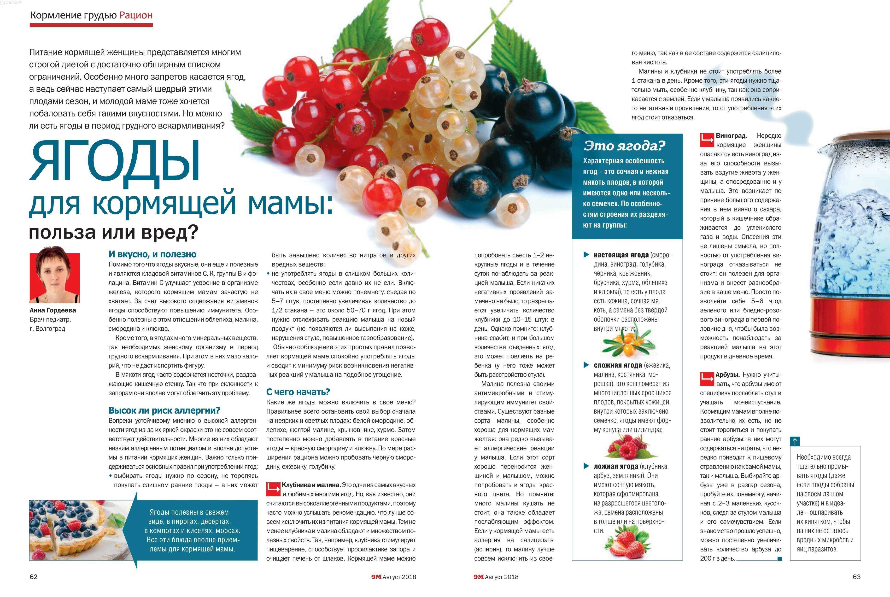 Можно ли арбуз и дыню кормящей маме в первый месяц и далее