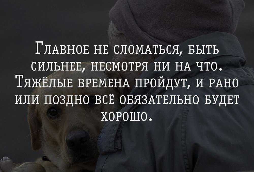 Поддержать словом в непростой для близкого человека момент кажется так просто но на самом деле нет Как не сказать то что обидит его Дать ему понять что ты действительно сочувствуешь А что говорить вовсе не стоит
