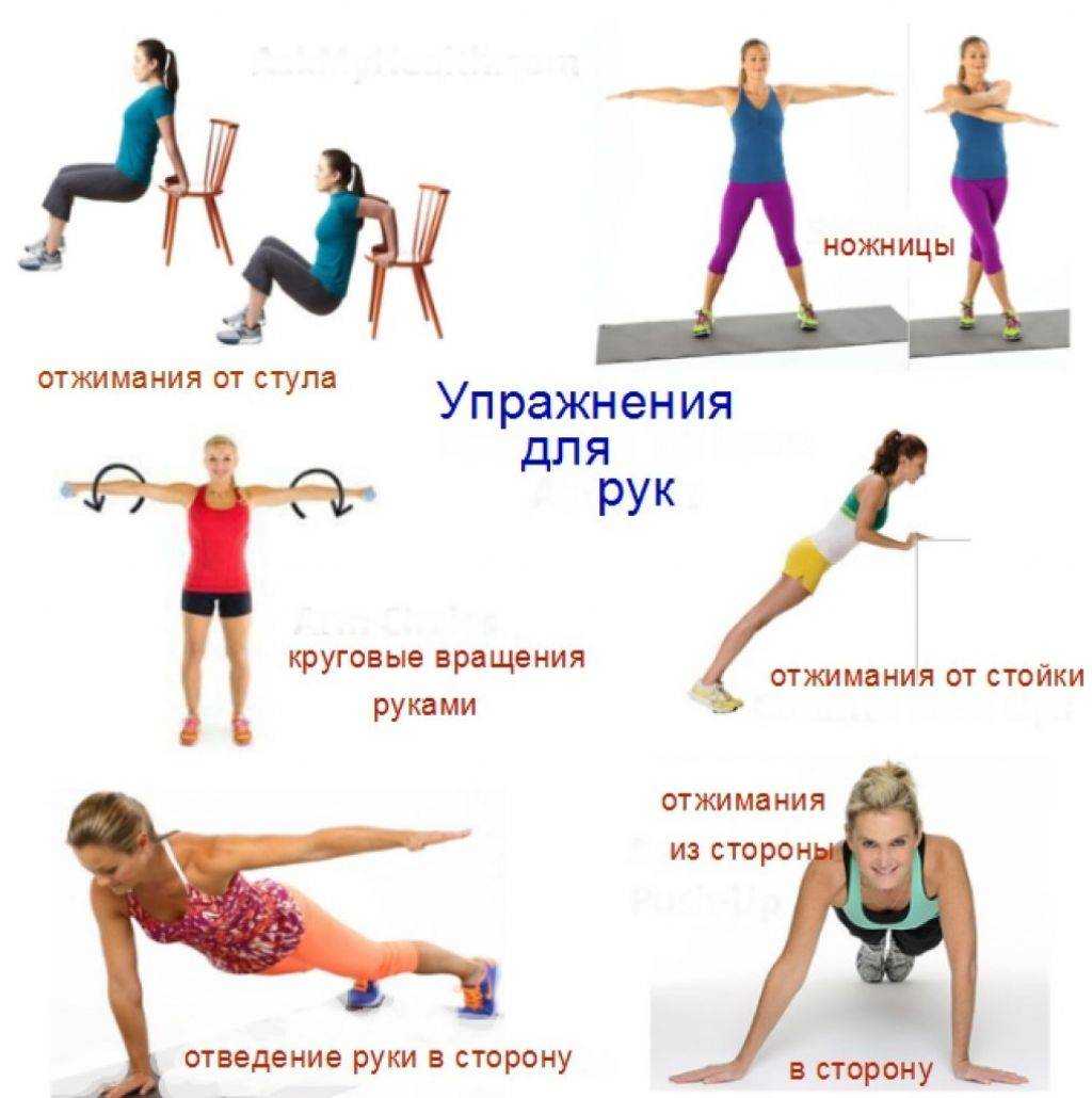 Упражнения для мышц рук: 20 лучших упражнений для прокачки мышц рук
