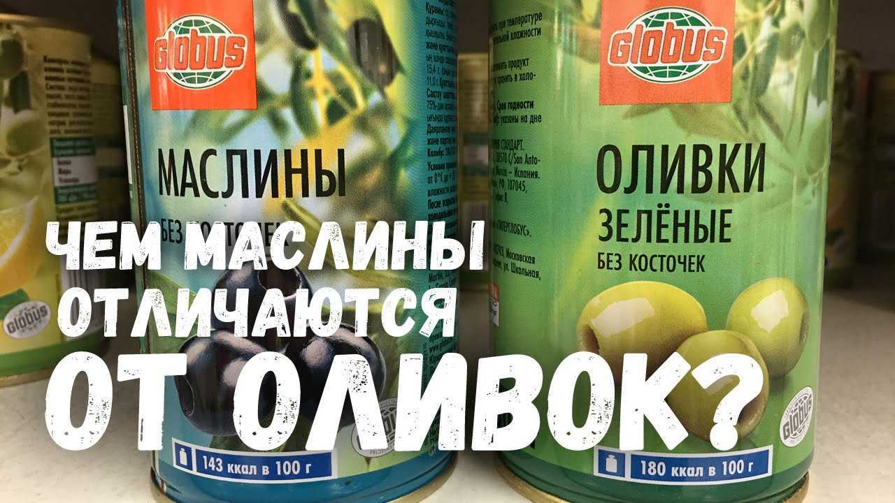 Маслины и оливки — в чем разница?