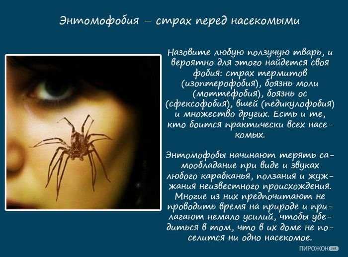 Арахнофобия: причины, проявления, способы борьбы