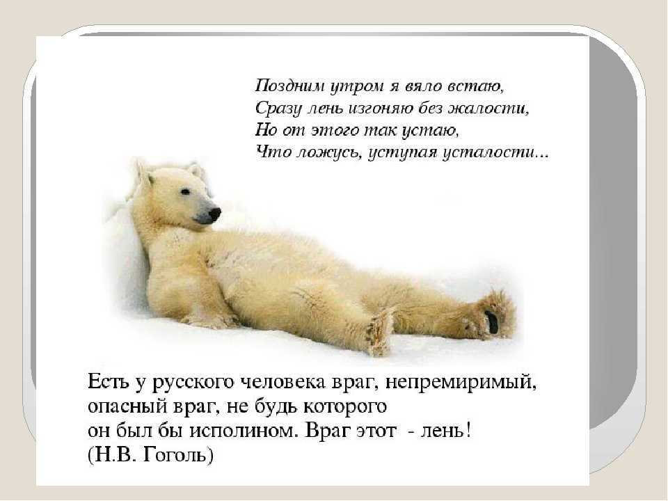 Как бороться с апатией и определить причины синдромы апатии