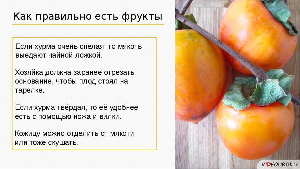Полезна или вредна хурма при беременности? правила употребления и интересные рецепты