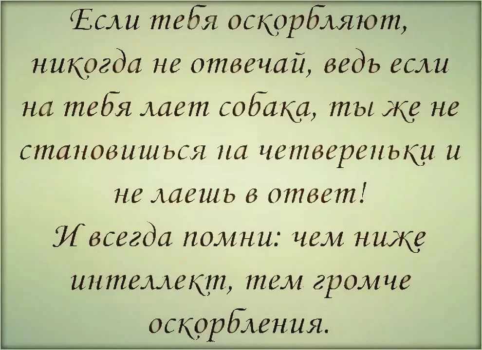 Как проучить мужа за унижение, оскорбление и неуважение: причины неуважительного обращения