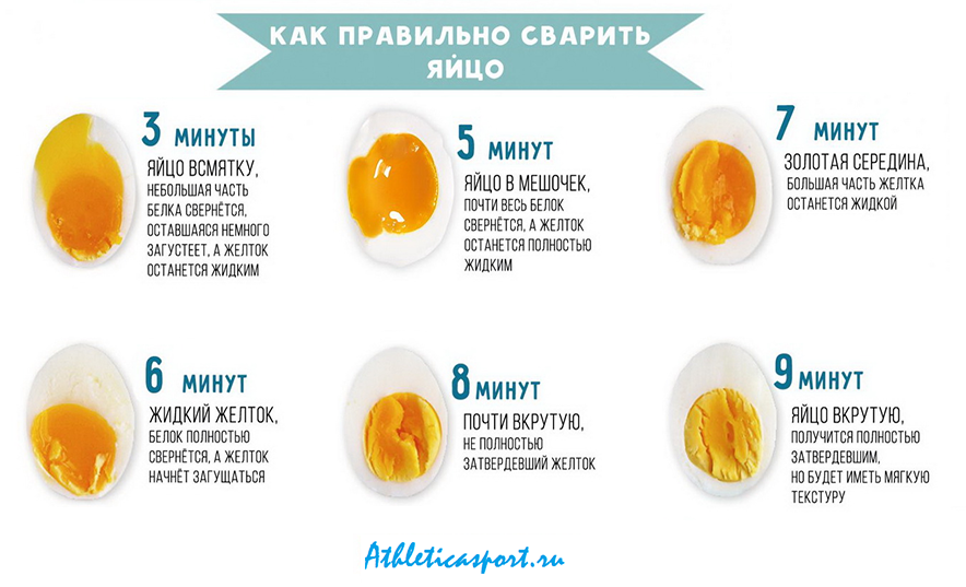 Куриные яйца: польза и вред, сколько можно есть в день