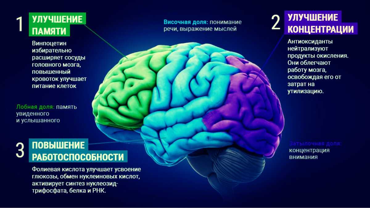 Что вредит нашему мозгу? | блог 4brain