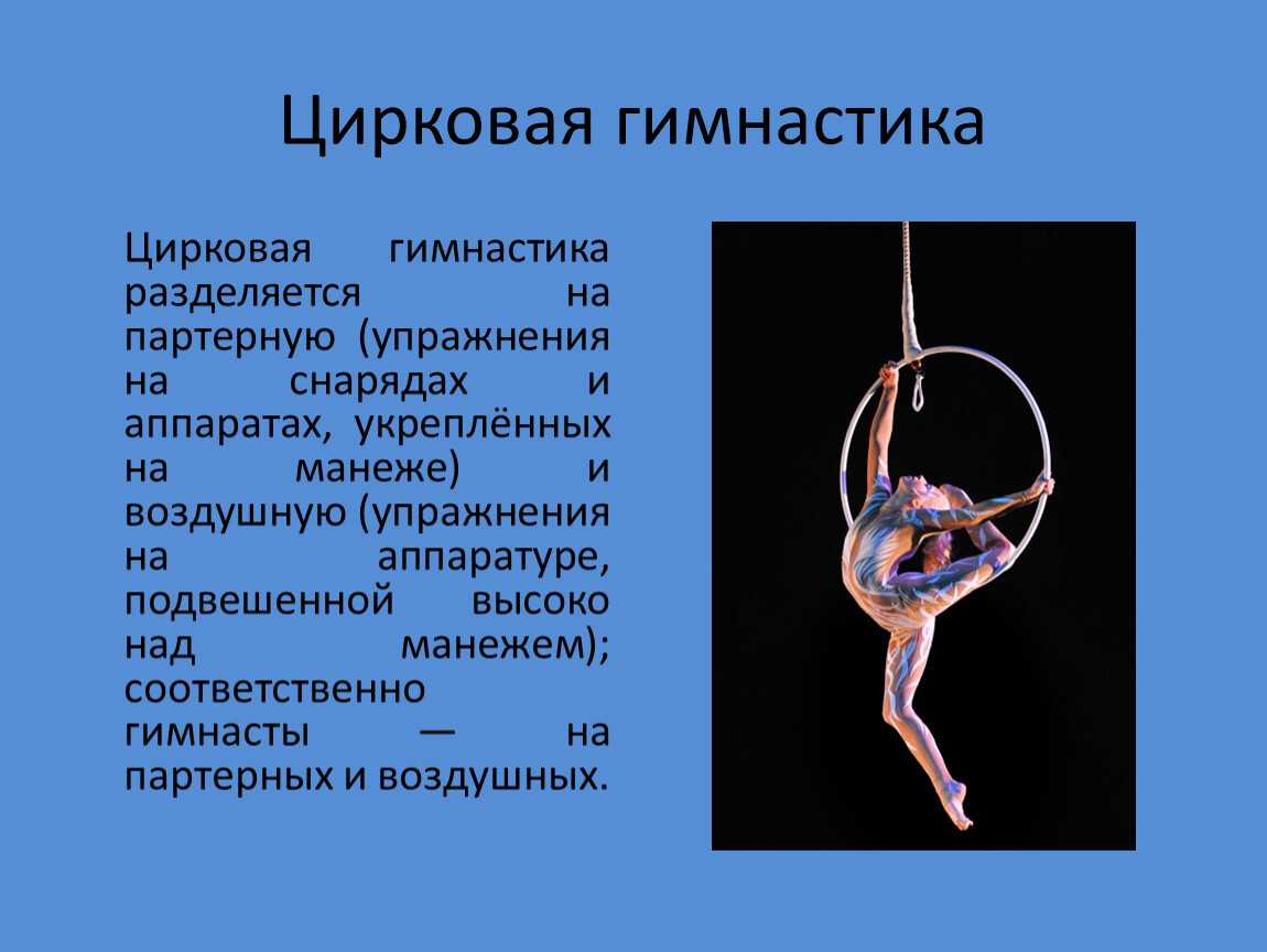 Номер гимнастов на воздушных полотнах
