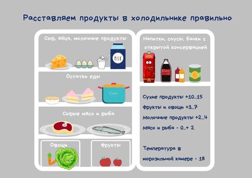Как и где правильно хранить овощи и фрукты в холодильнике: температура хранения зелени, чеснок зимой