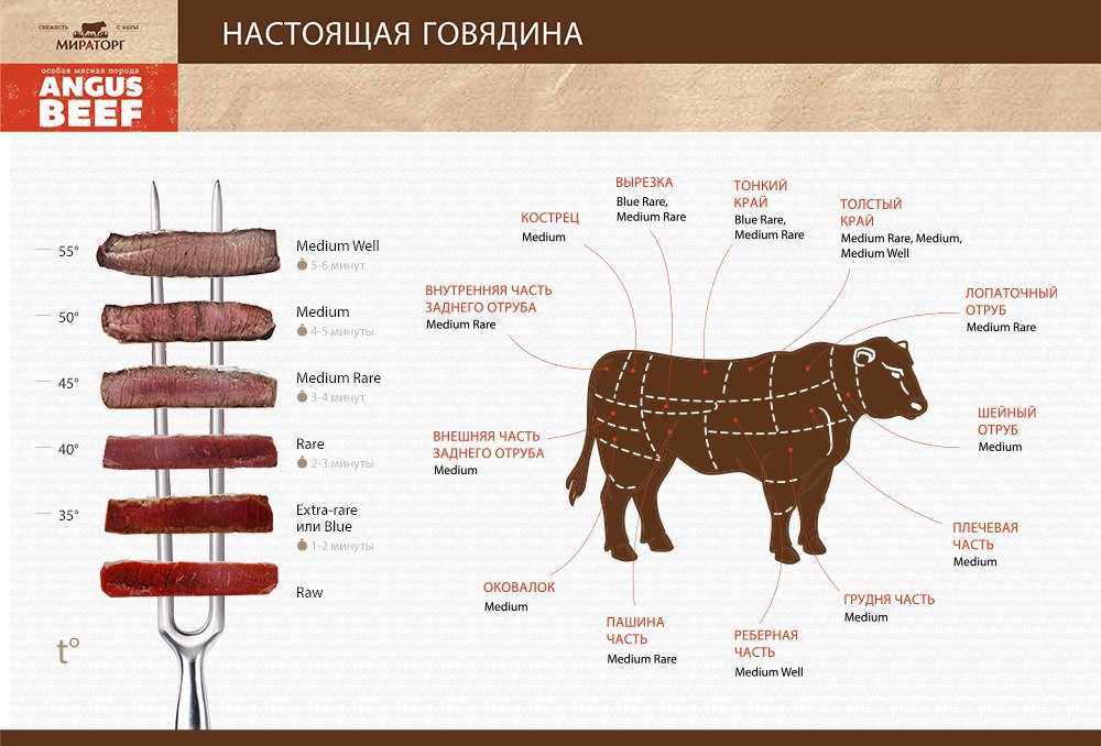 Какую часть говядины выгодно покупать, чтобы сэкономить