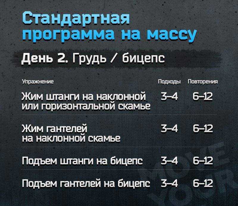 Как составить программу тренировок самостоятельно
