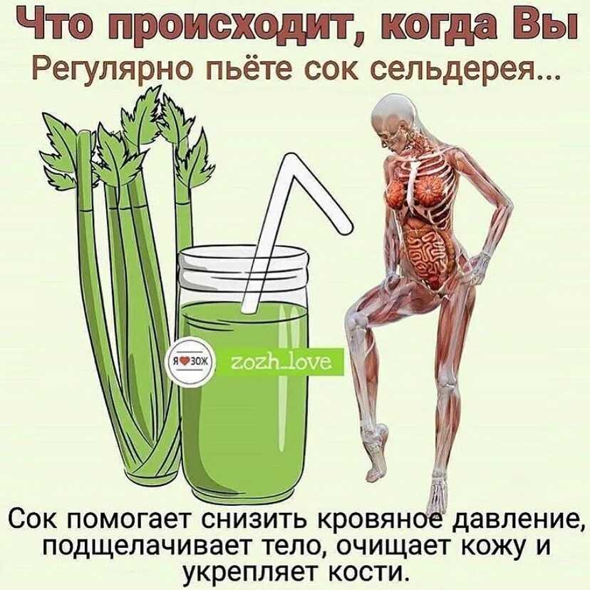 Сельдереевая диета для похудения: отзывы и результаты, польза и вред | диеты и рецепты