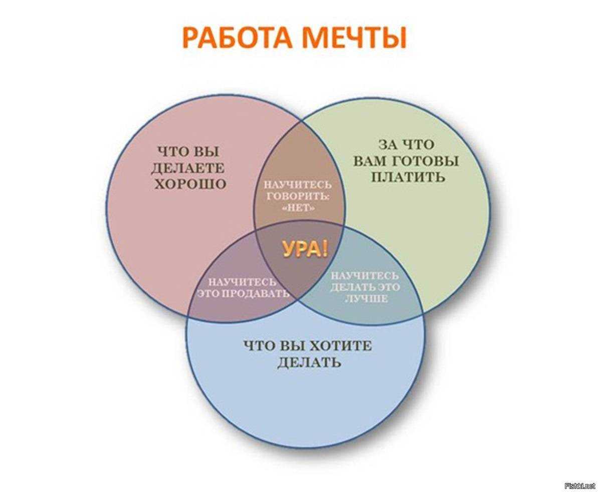 Как найти любимое дело: 6 советов от барбары шер - блог издательства «манн, иванов и фербер»