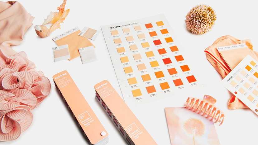 Цвет 2024 по версии pantone