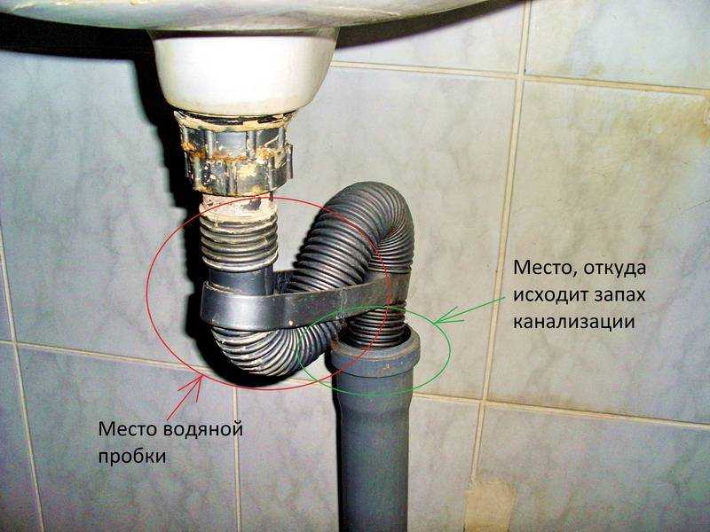 Рассказываем как устранить запах из раковины на кухне или в ванной с помощью народных средств почему проблема появляется и как ее предотвратить
