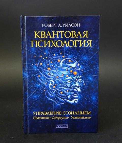 Глава 2 квантовая психология и теория хаоса. дао хаоса