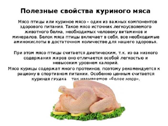 Как выбрать куриное мясо: полезно, вкусно, недорого
