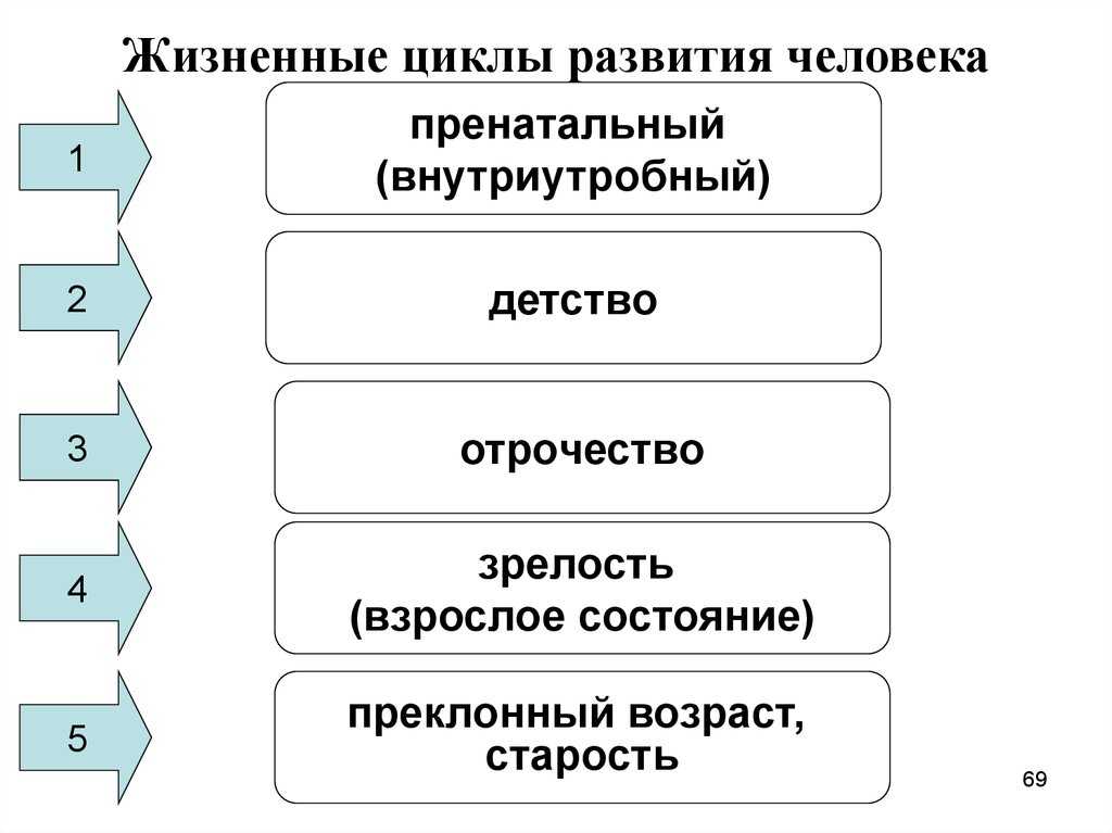 Нумерологический график жизни по дате рождения