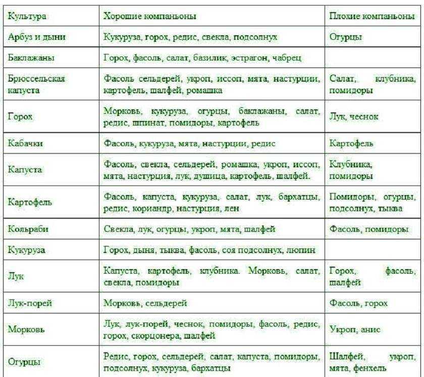 Совместимость растений на огороде — принципы, рекомендации, таблица совместимости. | cельхозпортал