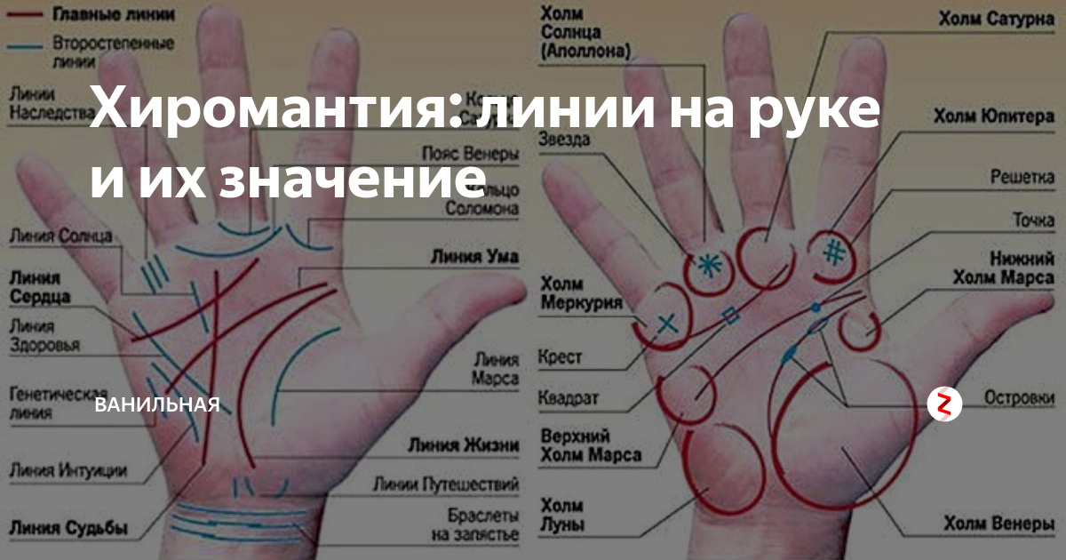 Причины различия линий на руках