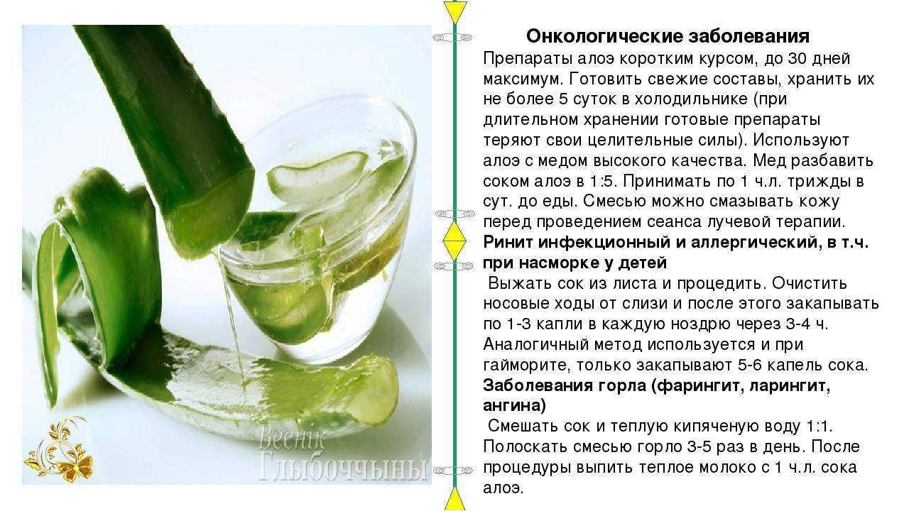 Алоэ для лица: волшебный эликсир молодости и красоты