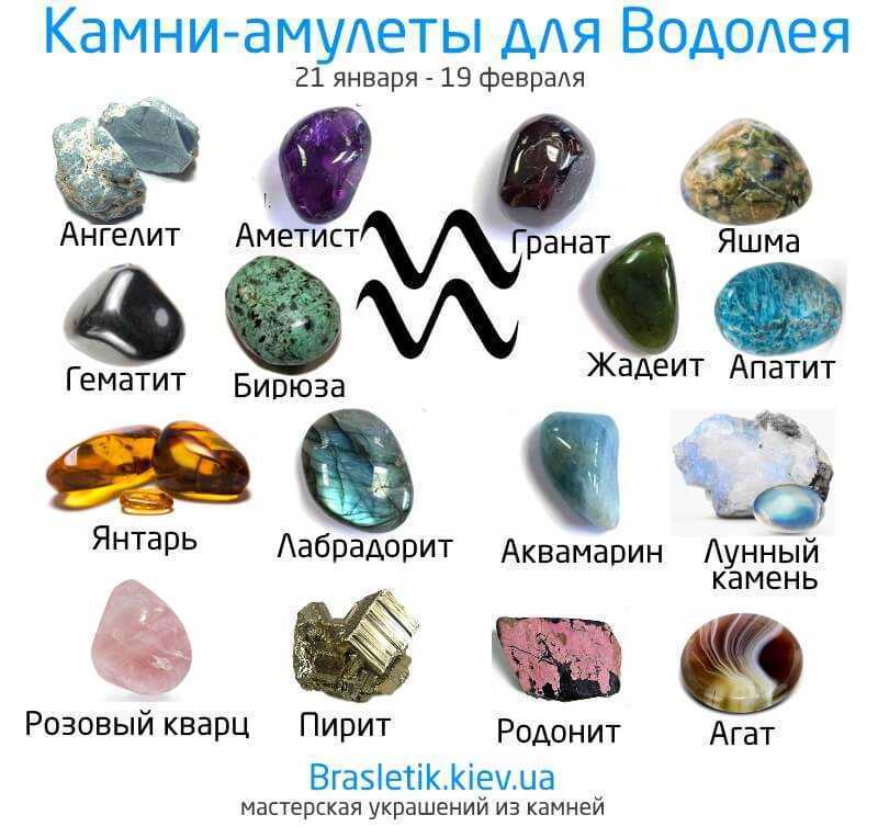 Как человеку узнать свой камень-талисман, дерево-покровителя и тотемное животное по знаку зодиака