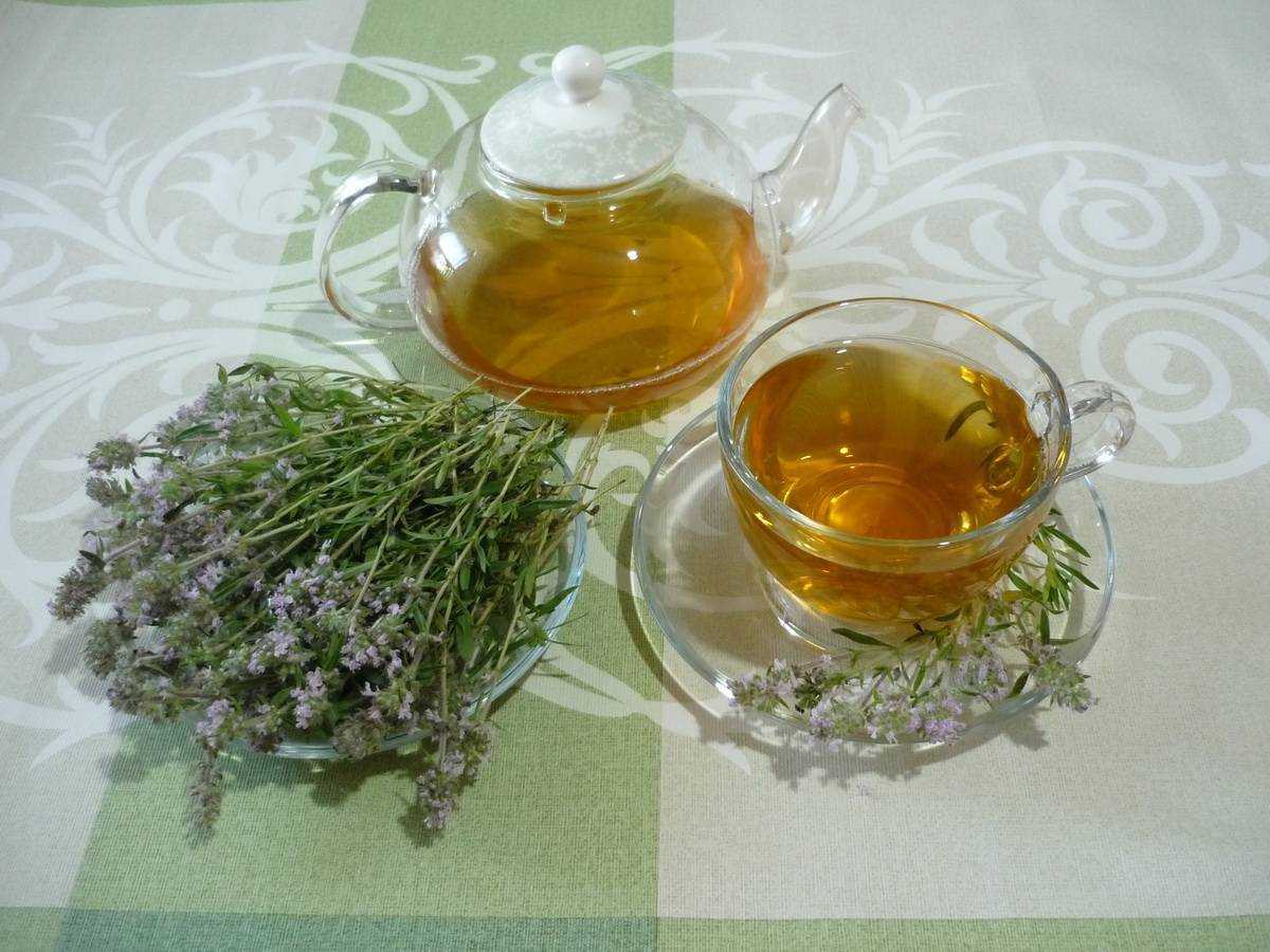Чем полезен чабрец и какие у него свойства