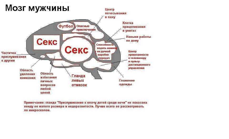 Как секс влияет на отношения- 9 причин для занятия сексом