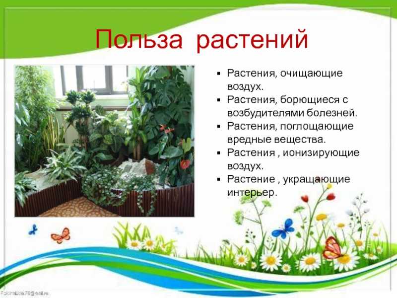 «цветоводство сближает совершенно разных людей». бондарчанка рассказала о семейном хобби