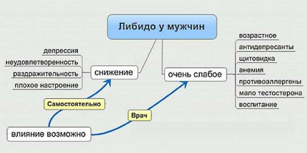 Либидо, или всё о сексуальном здоровье