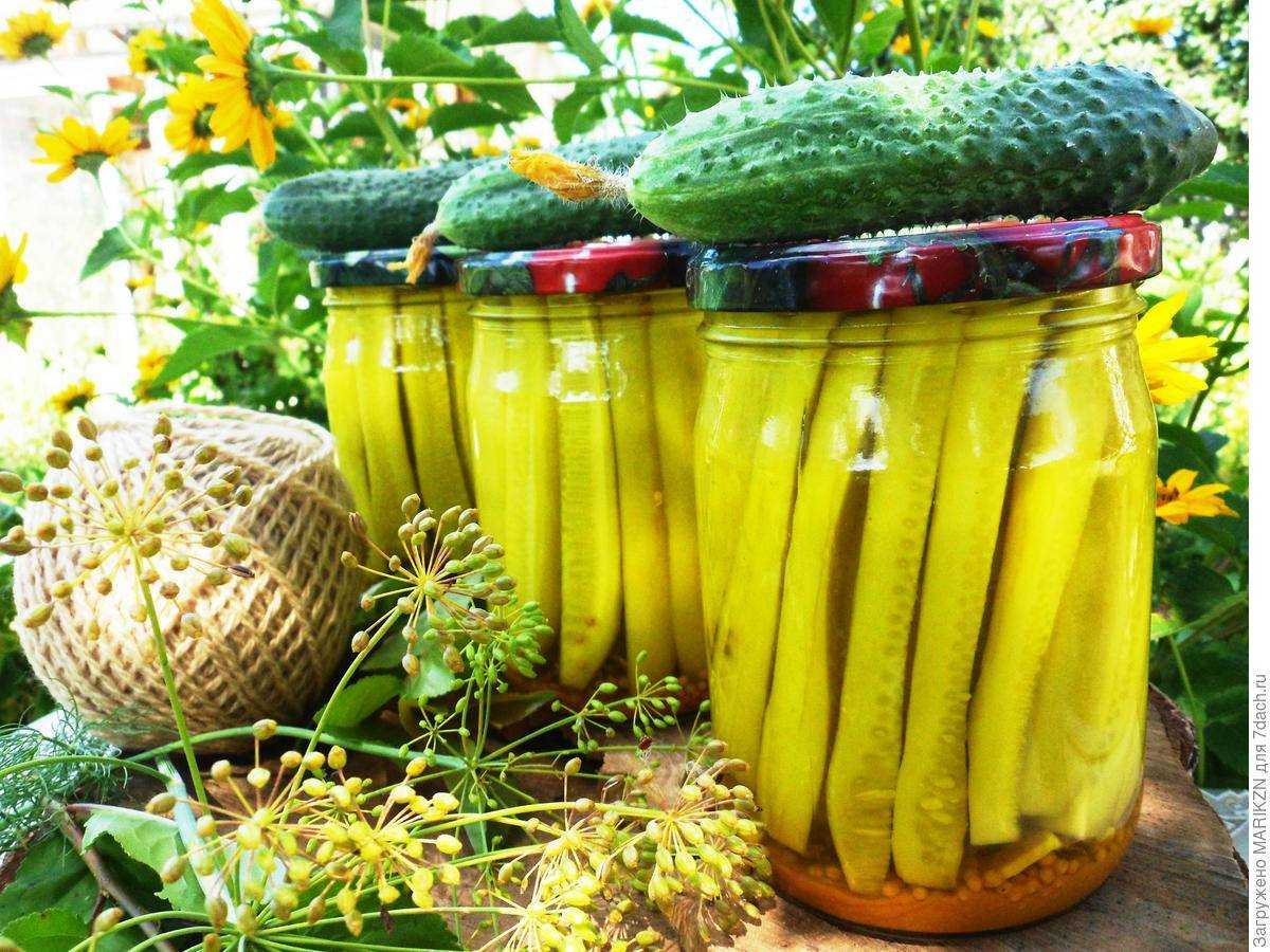 20 очень вкусных заготовок из огурцов на зиму