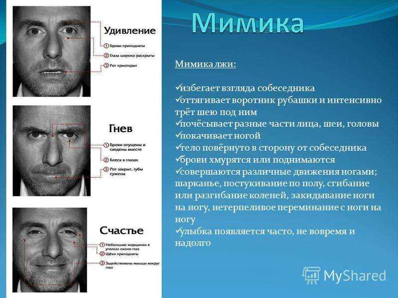 Язык жестов: как распознать в них ложь?
