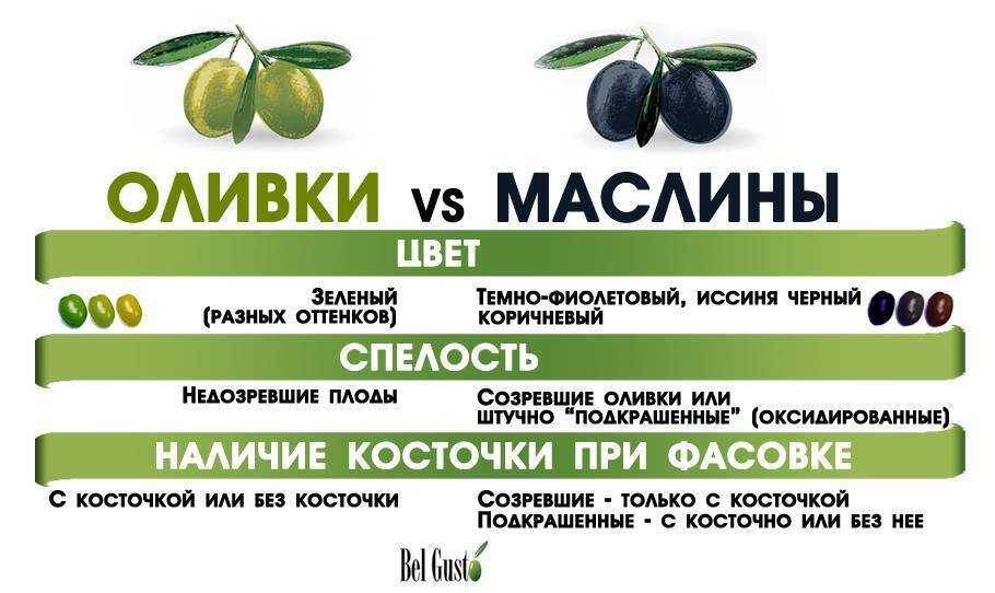В статье рассказываем чем отличаются маслины от оливок в чем польза и вред этих плодов как можно употреблять и что лучше добавлять в солянку