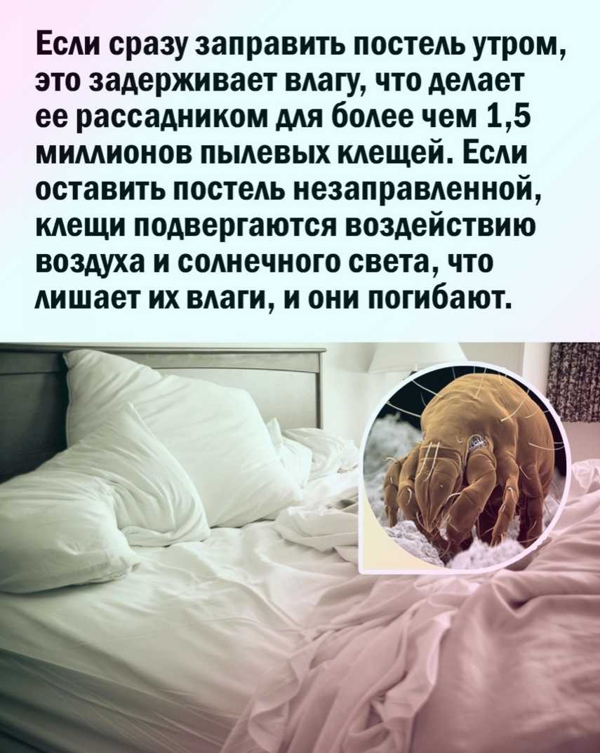 Приводить кровать в порядок после сна стоит не только с эстетической точки зрения для этого ритуала есть весьма научные обоснования Подробнее читай в статье